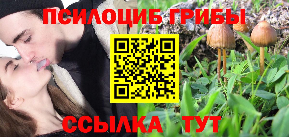 Галлюциногенные грибы мухоморы  Вход с VPN  Нижнекамск 